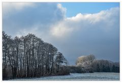 Fischländer Dezemberlandschaft