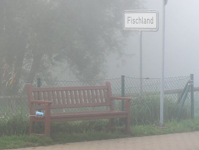 fischland an nebel