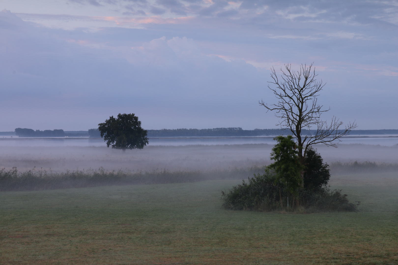 Fischland, Bodden