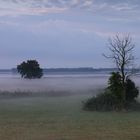 Fischland, Bodden