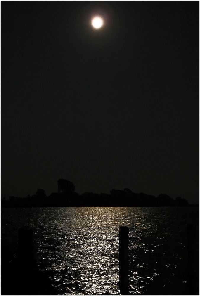 Fischland Darß ; der Bodden leuchtet