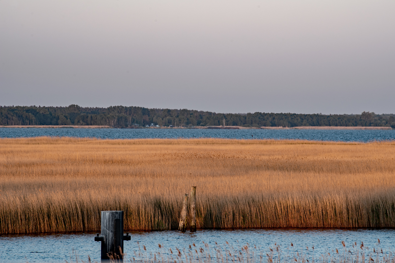 Fischland - Darß - Zingst