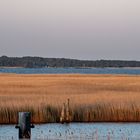 Fischland - Darß - Zingst