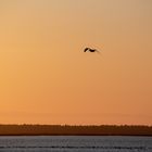 Fischland - Darß - Zingst