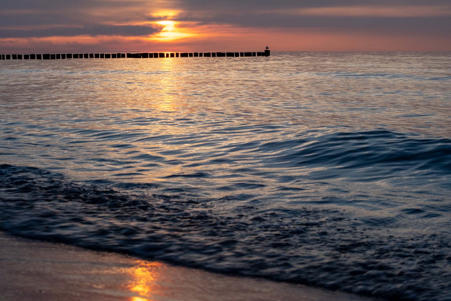 Fischland - Darß - Zingst