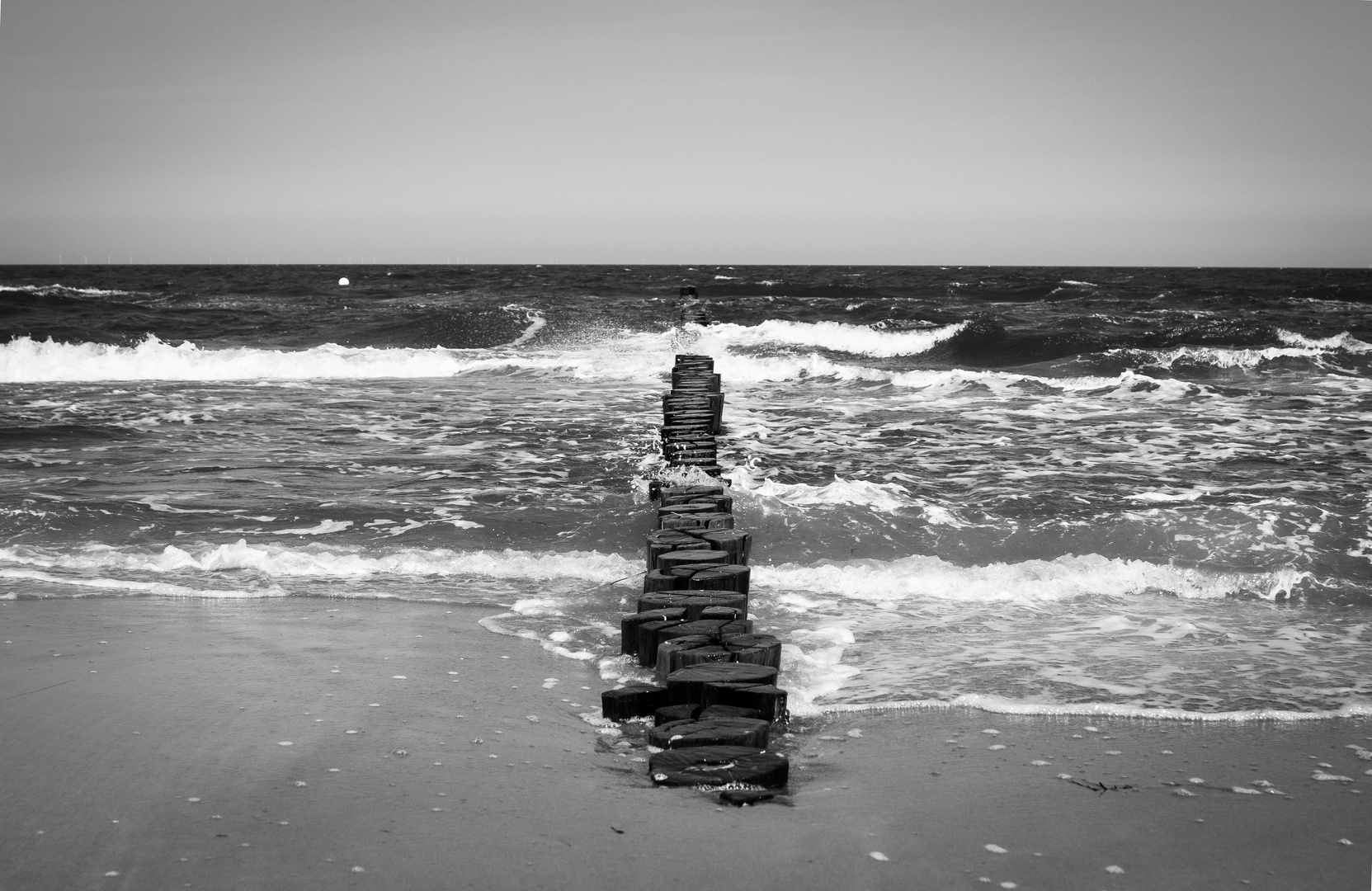 Fischland - Darß - Zingst