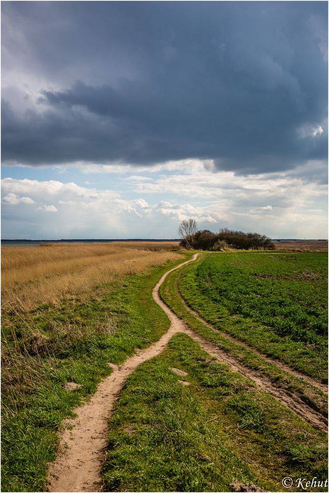 Fischland-Spaziergang (1) Der Weg ...