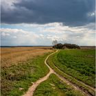 Fischland-Spaziergang (1) Der Weg ...