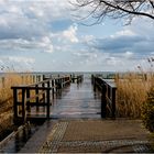 Fischland-Spaziergang (8) Auf Regen folgt Sonne ...