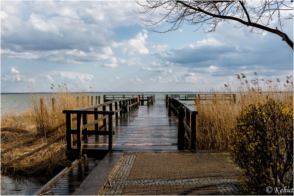 Fischland-Spaziergang (8) Auf Regen folgt Sonne ...