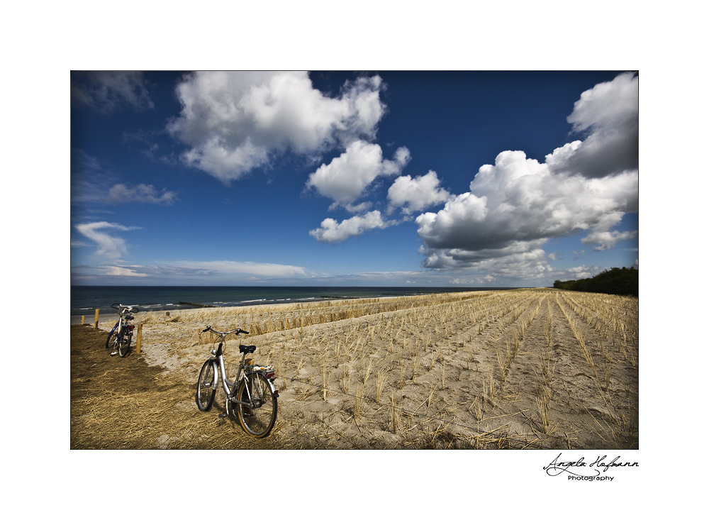 Fischland - Zingst