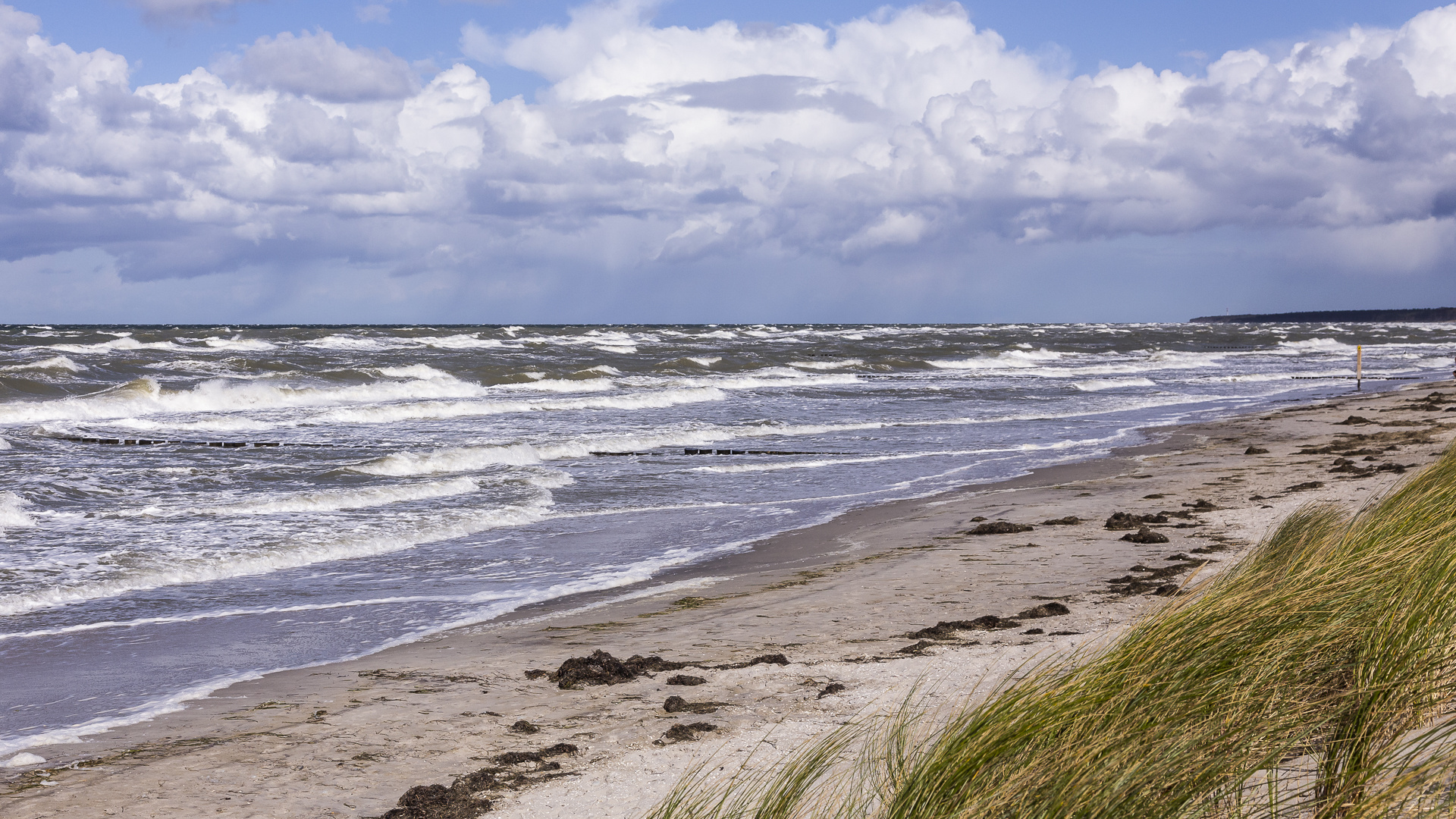 Fischland-Zingst-Darß