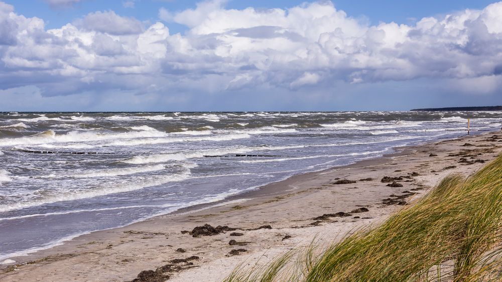 FischlandZingstDarß Foto &amp; Bild ostsee, meer, strand Bilder auf