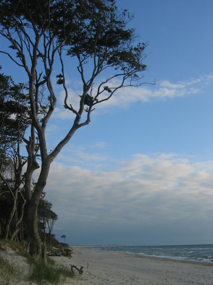 Fischland/Darß/Zingst