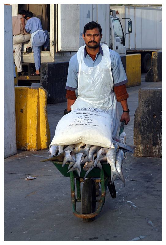 Fischlieferung