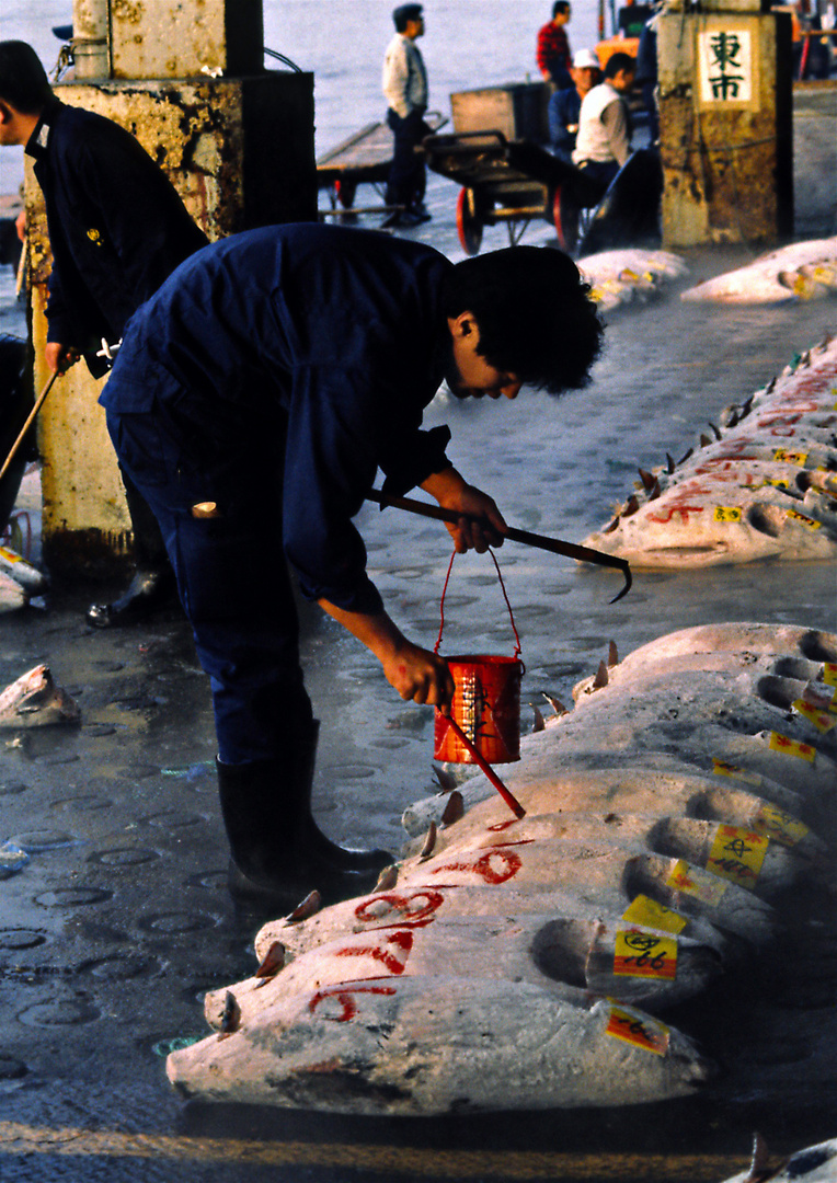 Fischmarkt 06 - vor der Versteigerung