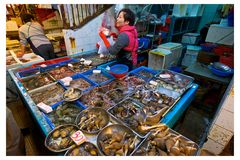 Fischmarkt 1 - Hong Kong
