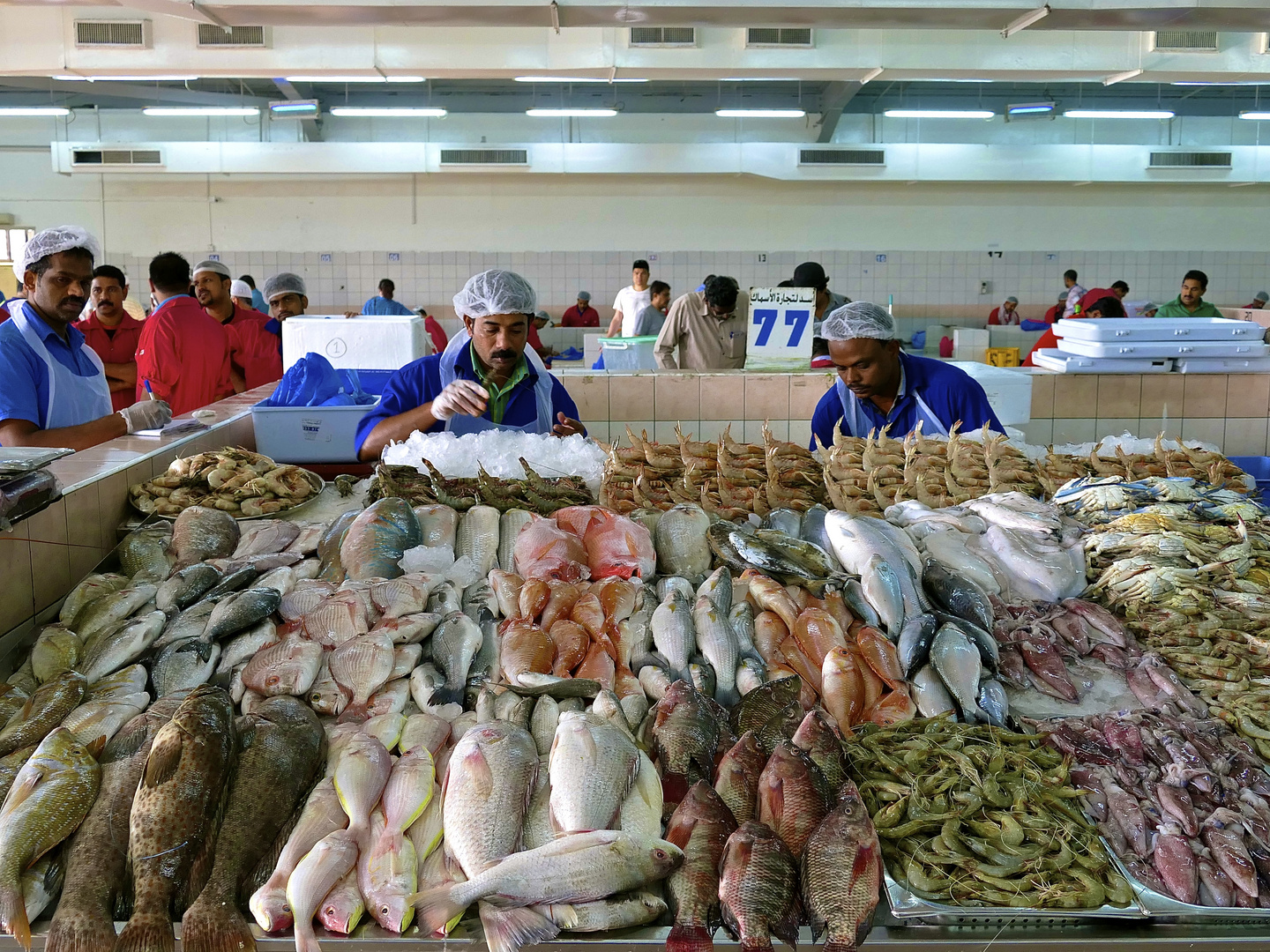 Fischmarkt Abu Dhabi