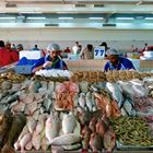 Fischmarkt Abu Dhabi