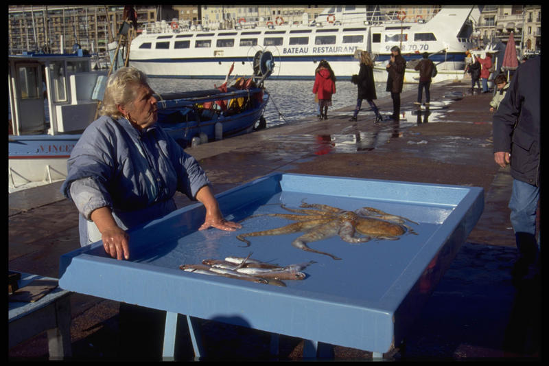 Fischmarkt am Hafen von Marsailles