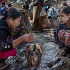 Fischmarkt am Inle-See Myanmar