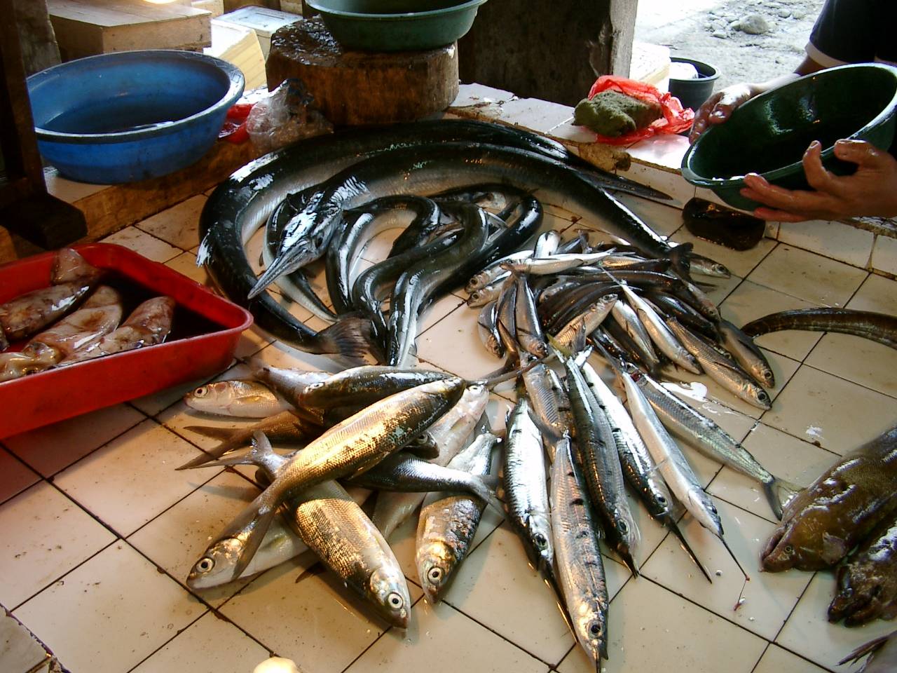 Fischmarkt Balamban, Cebu, Philippinen 4