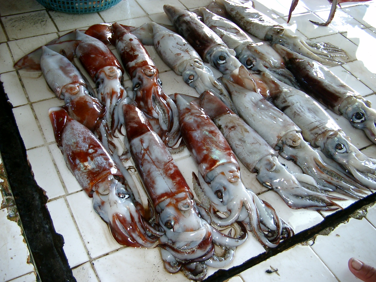 Fischmarkt Balamban, Cebu, Philippinen