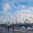 Fischmarkt, die letzten Gäste