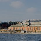 Fischmarkt Hamburg