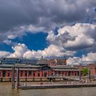 - Fischmarkt Hamburg -