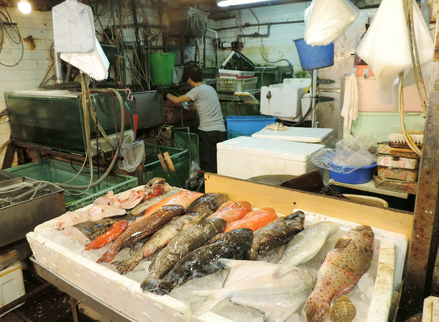 Fischmarkt Hong Kong