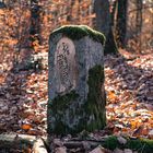 Fischmarkt im Wald