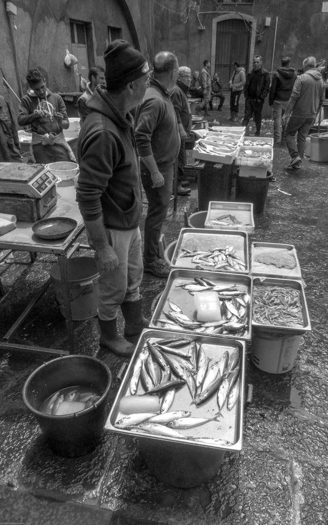 Fischmarkt in Catania