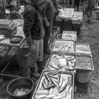 Fischmarkt in Catania