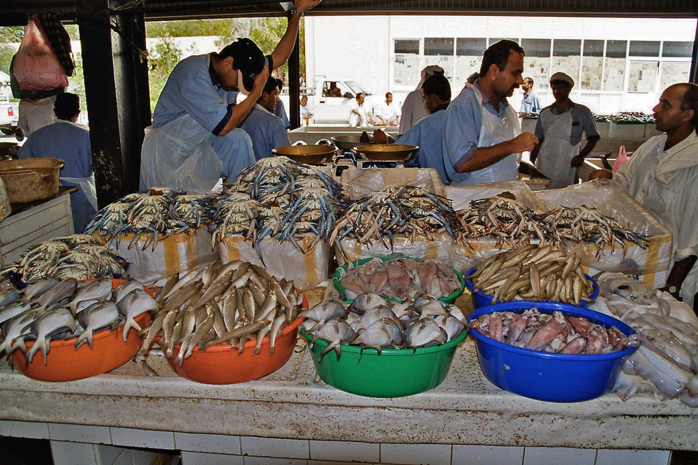 Fischmarkt in Dubai