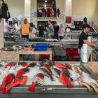 Fischmarkt in Funchal auf Madeira - Europäische Papageifische
