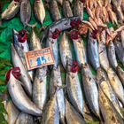 Fischmarkt in Istanbul