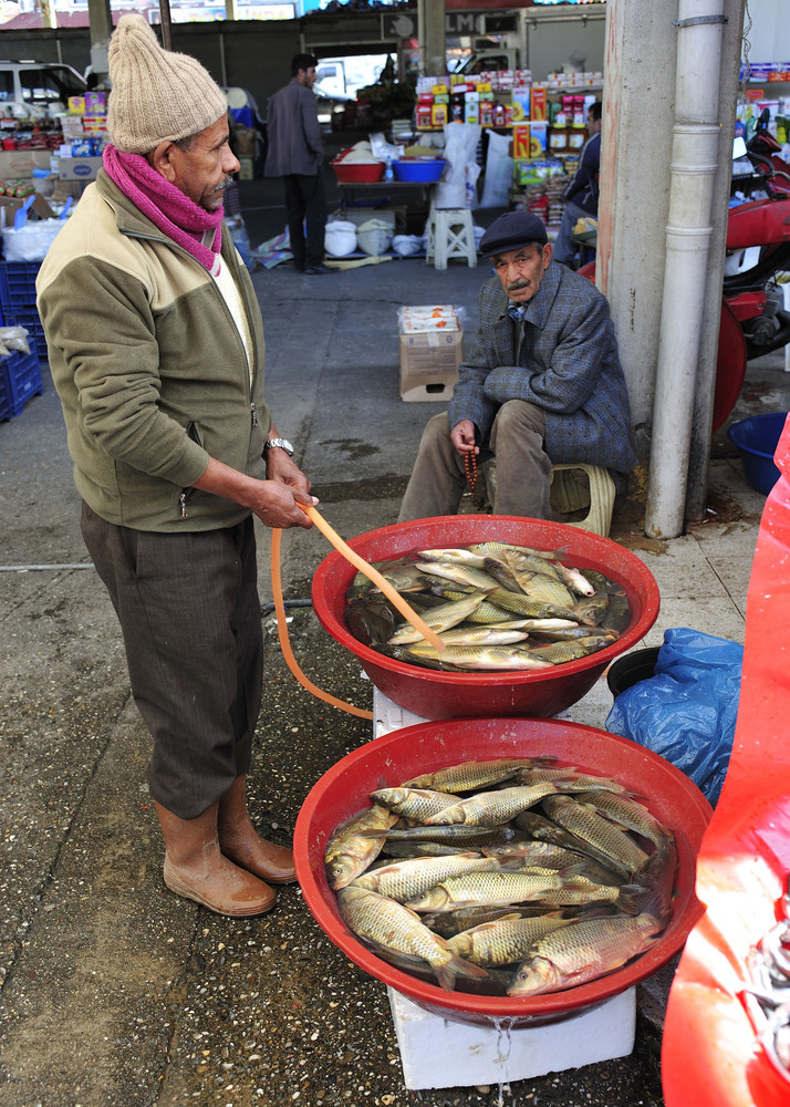 Fischmarkt in Manavgat