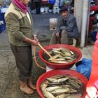 Fischmarkt in Manavgat