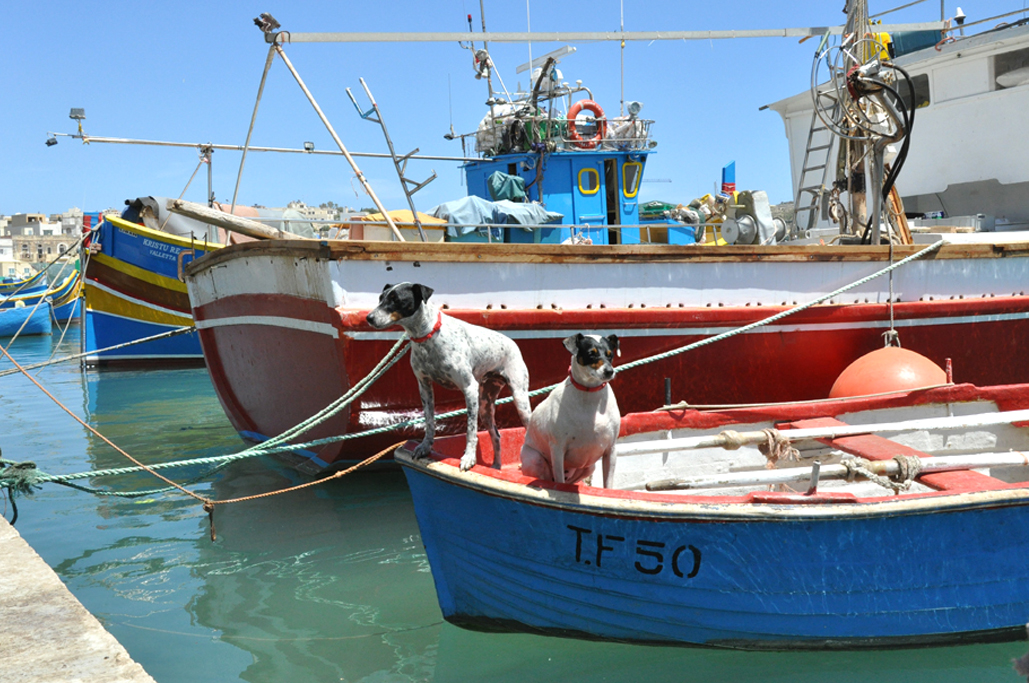 Fischmarkt in Marsaxlokk