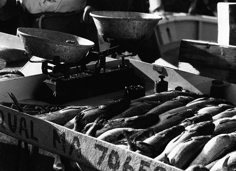 Fischmarkt in Marseille