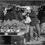 Fischmarkt in MD