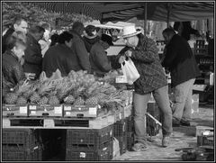 Fischmarkt in MD