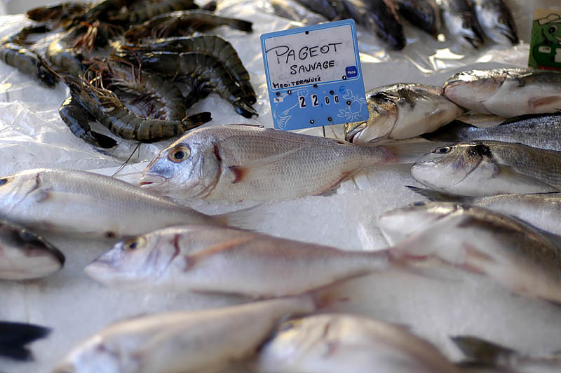 Fischmarkt in Nizza