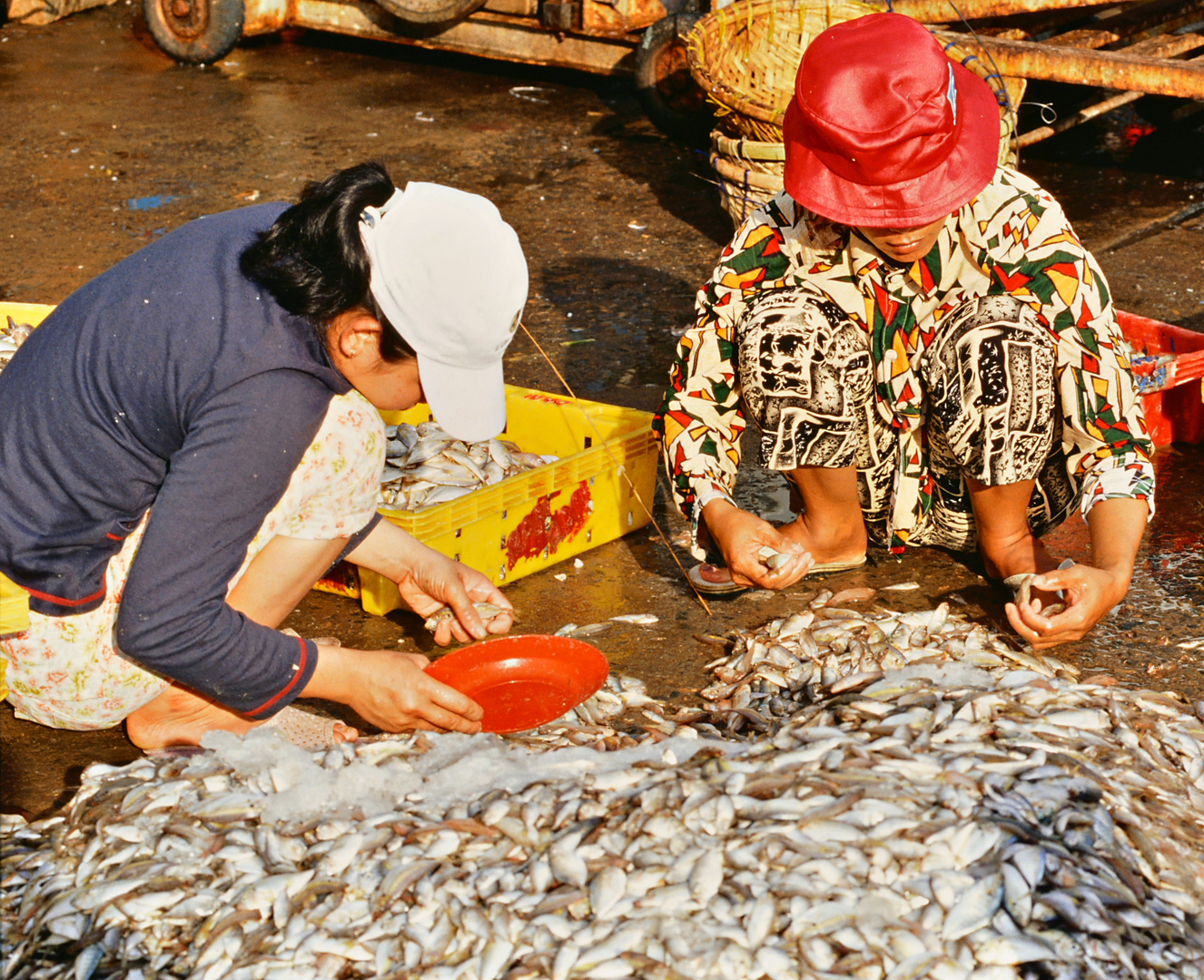 Fischmarkt in Phan Thiet 