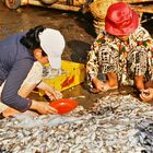 Fischmarkt in Phan Thiet 