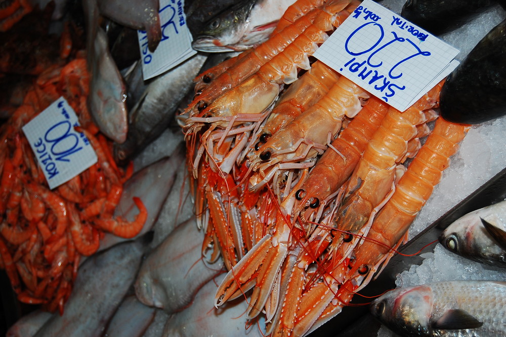 Fischmarkt in Pula