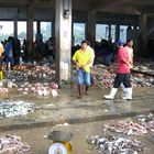 Fischmarkt in Ranong /Thailand