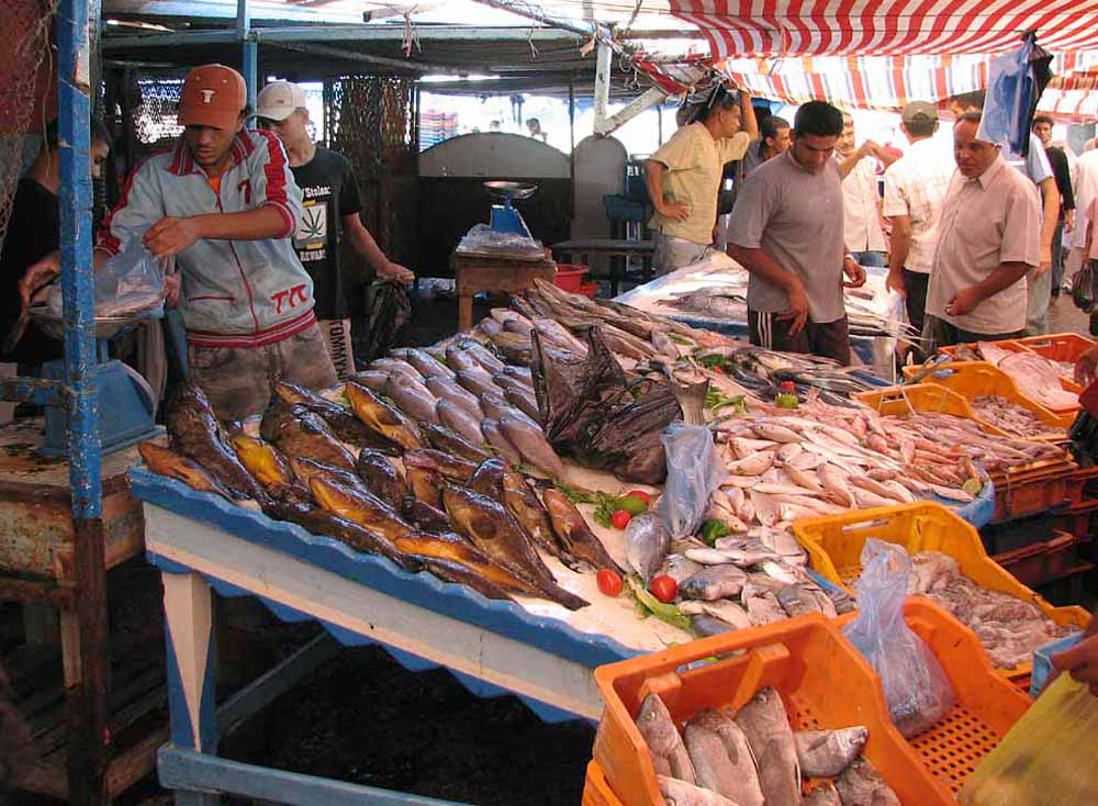 Fischmarkt in Tripolis 1