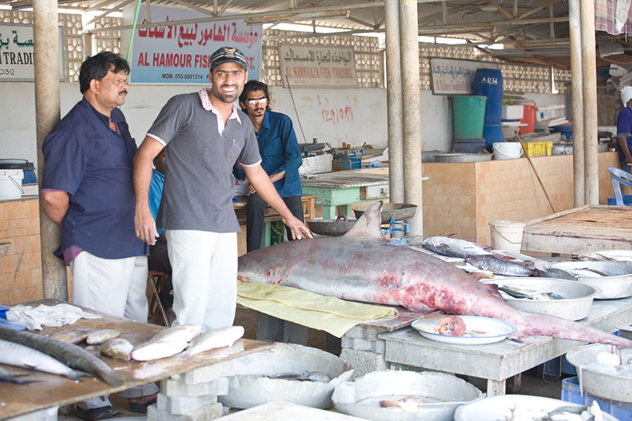 Fischmarkt in Umm al Quwain 3